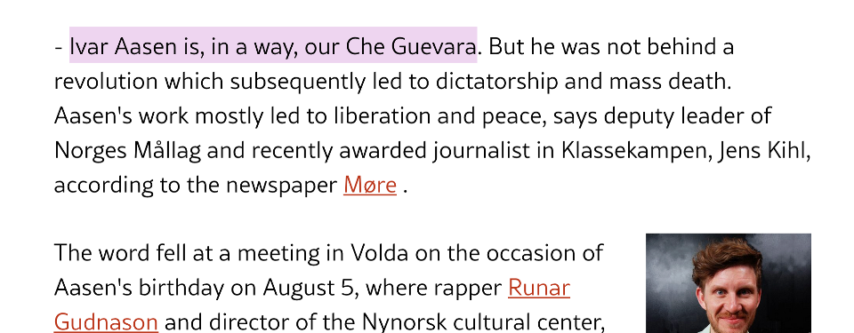 Quotes from panel discussion on Nynorsk, Google Translated.