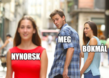 The Distracted Boyfriend meme, with “Me” looking back at Nynorsk instead of Bokmål.
