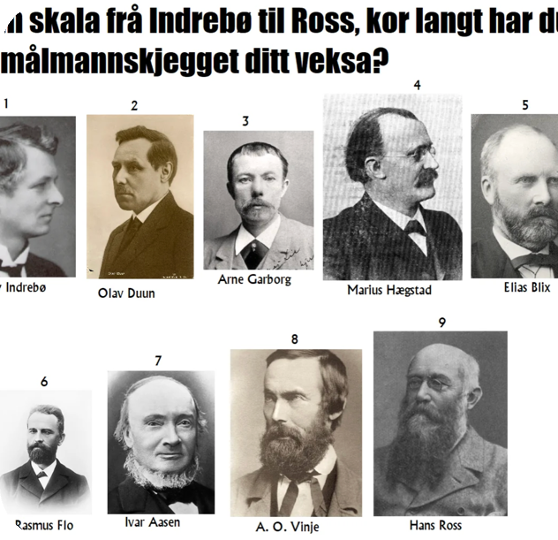 "How much did you let your nynorsk supporter beard grow?" with a collection of nynorsk activists throughout the ages and their beards.